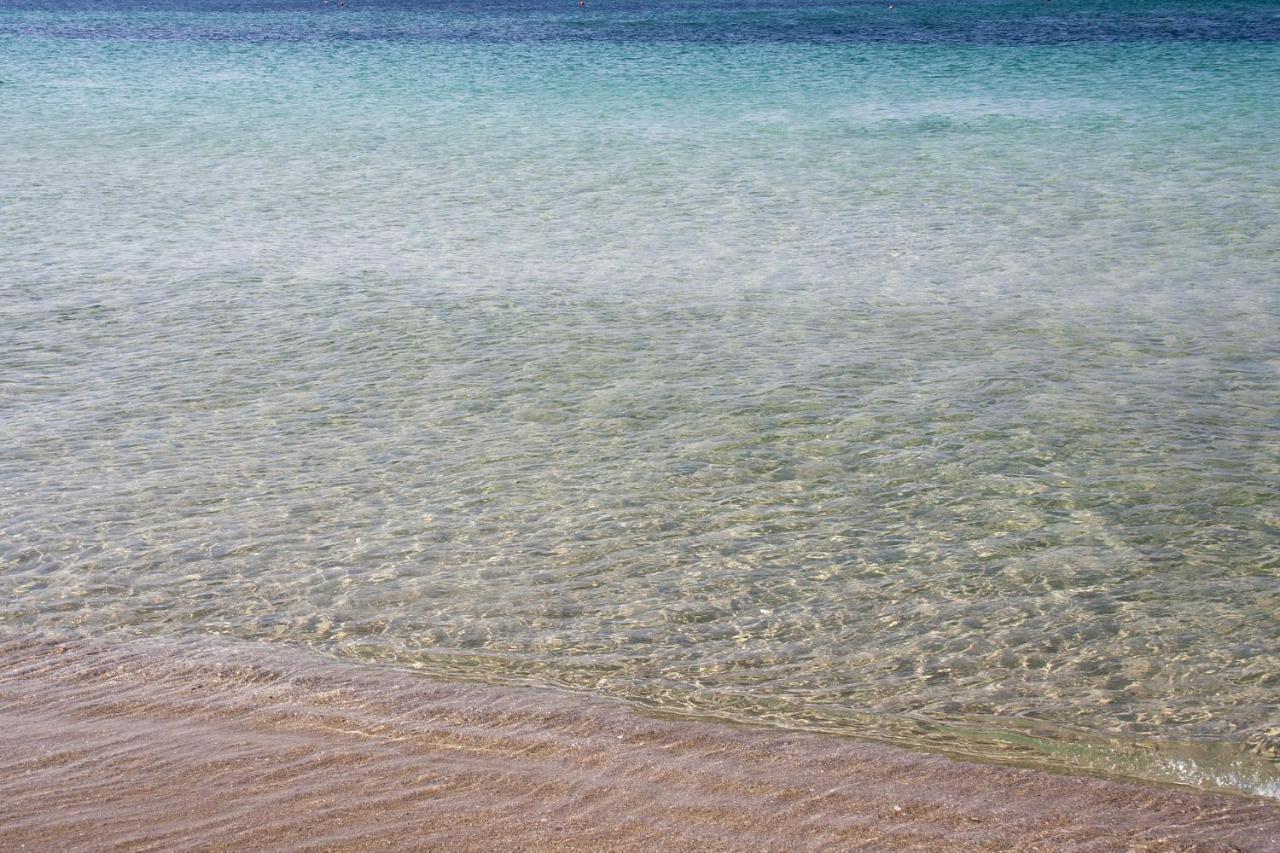 Appartamento Climatizzato A 30 M Dalla Spiaggia Con Vista Mare トッレ・モッツァ エクステリア 写真